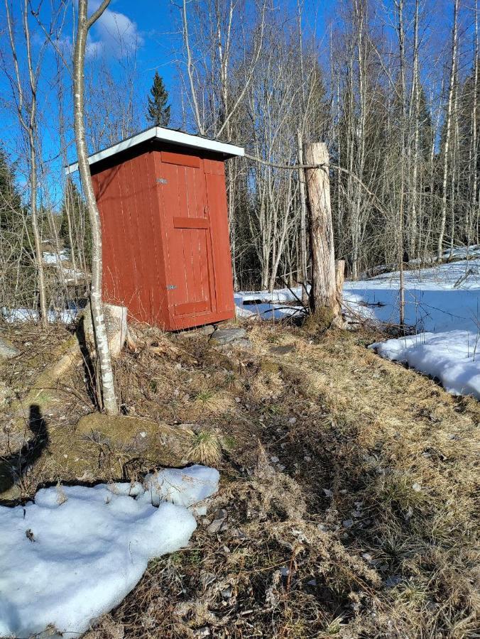 Isokummun Foresta Villa Sievi Exteriör bild
